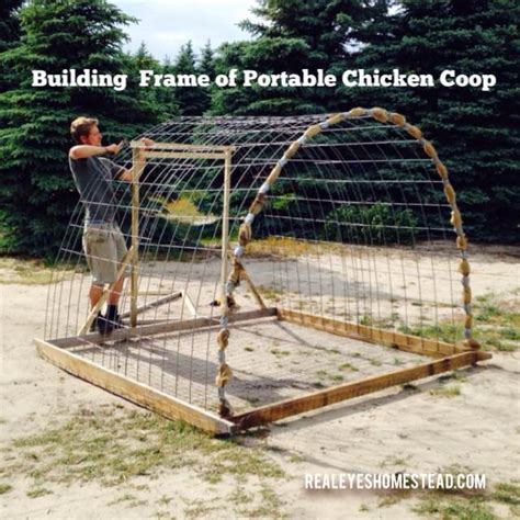 How To Build A Chicken Tractor Hoop Coop Realize Permaculture Homestead