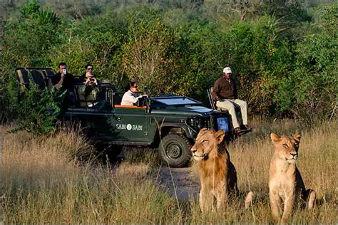 Earth Lodge Sabi Sabi | A safari re-imagined