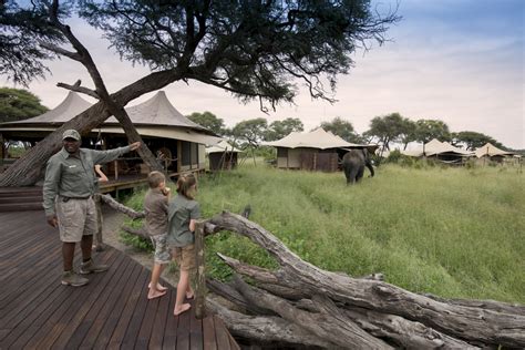 Somalisa Acacia Zimbabwe Safari African Bush Camps