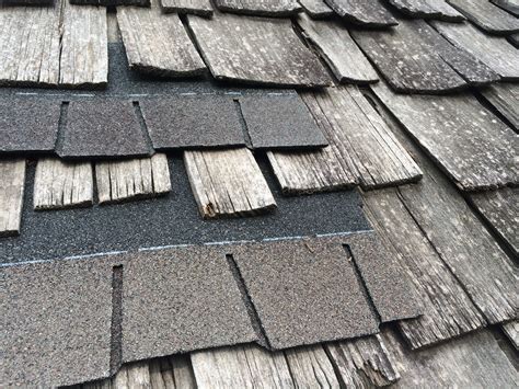 Brands Of Shingles Roof - Life Of A Roof