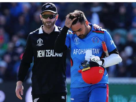 NZ vs AFG Head-to-head: World Cup 2023-New Zealand vs Afghanistan pitch ...