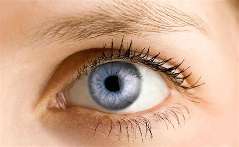 Colesterol Malo La Señal En Tus Ojos Que Indica Que Tienes El