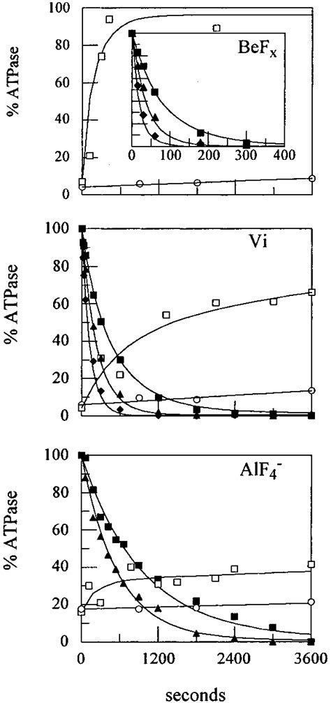 Atpase Relaxation For S And The Bef X Top Vi Middle And Alf