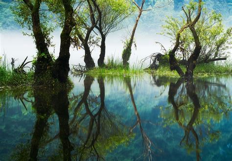 photography, Nature, Landscape, Reflections, River, Trees, Grass, Mist ...