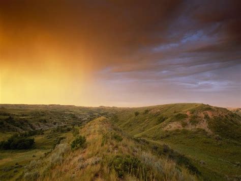 Seasons in the Grasslands - Biome: Grasslands