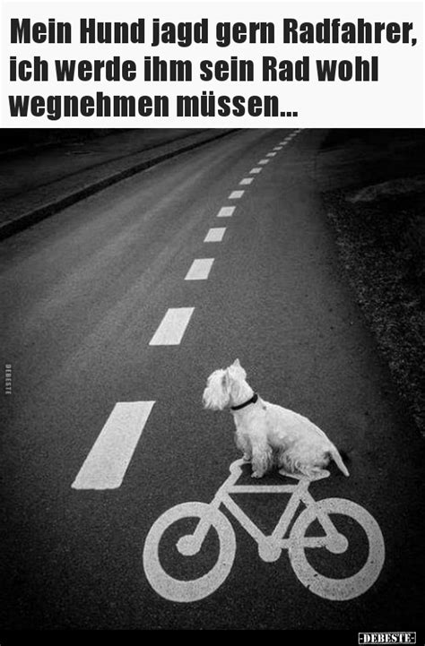 Mein Hund Jagd Gern Radfahrer Ich Werde Ihm Sein Rad DEBESTE De