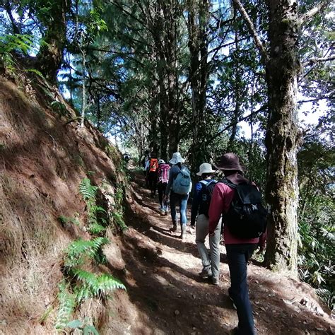 Trekking Desde Jardin A Támesis Con Guia Turistico Senderismo