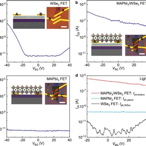 Doping Effects In Mapbi Wse Heterostructure A C Transfer Curves