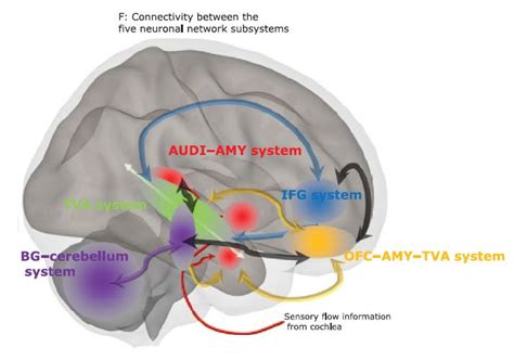 The Emotional Prosodic Brain Nead