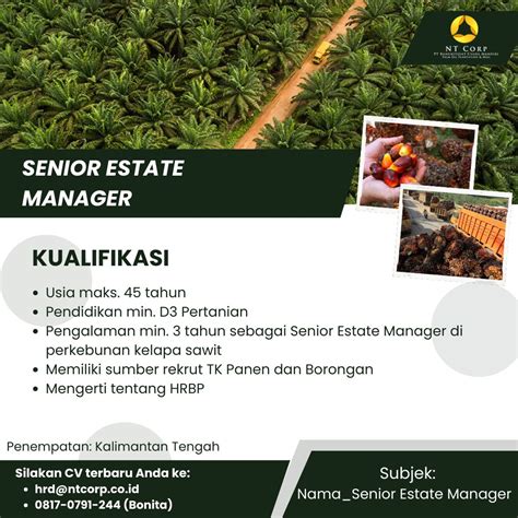 Lowongan Mandor Sampai Gm Penempatan Kalteng Loker Sawit Id