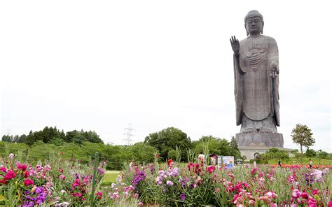 5 Iconic Great Buddha Statues In Japan Gaijinpot