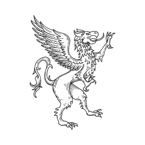 Griffin Or Gryphon Medieval Heraldic Animal Sketch 22032897 Vector Art