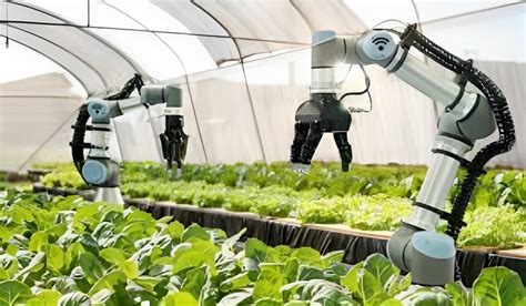 El futuro de la agricultura robots agrícolas de precisión en la