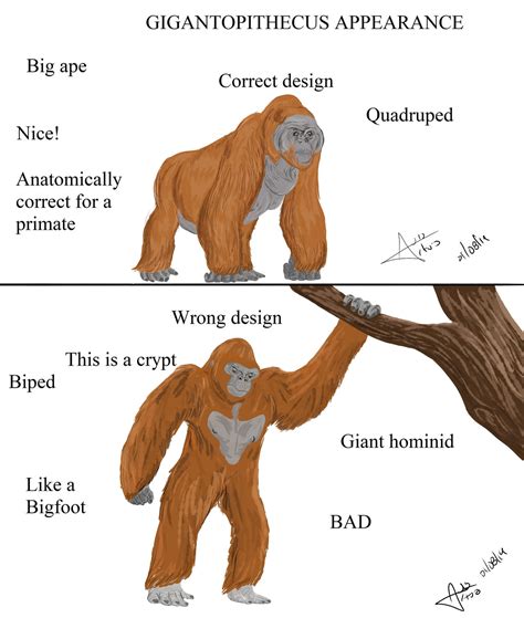 Gigantopithecus Appearance By Ladalbarran2001 On Deviantart