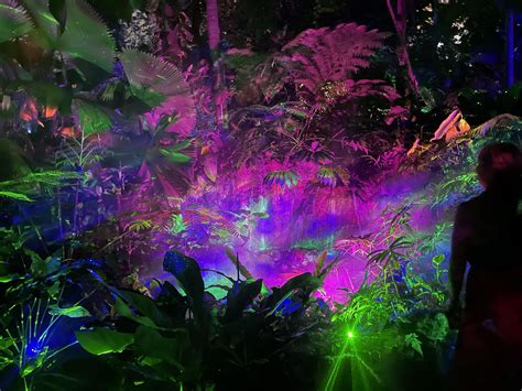 Beautiful light show at a botanical garden! : r/woahdude