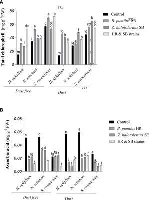 Frontiers The Importance Of Plant Growth Promoting Rhizobacteria To