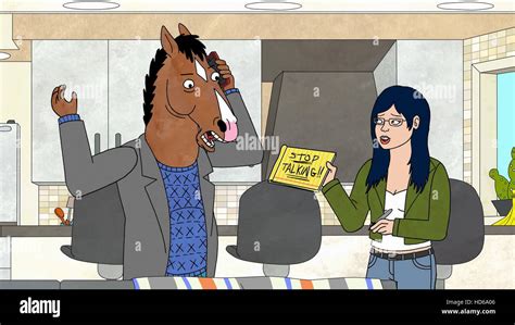 BOJACK HORSEMAN, (from left): Bojack Horseman, Diane, (Season 1, airs ...