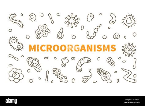 Microorganisms vector Micro Organisms concept line simple horizontal ...