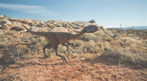 Dinosaurs In Moab Moab Giants Dinosaur Museum And Park