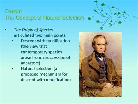 Ppt Biology Powerpoint Presentation Free Download Id 5242198