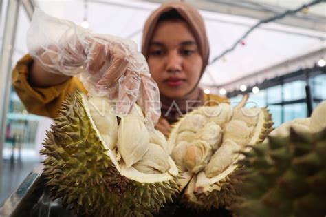 Restoran Berkonsep Makan Durian Sepuasnya Antara Foto