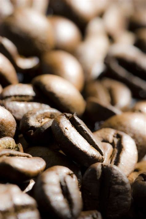 Free Images Cafe Aroma Produce Brown Drink Close Up Caffeine Coffee Beans 6000x4000