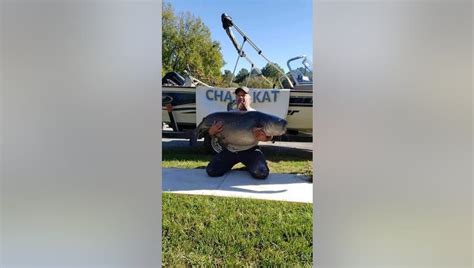 Fisherman breaks Georgia record with massive catfish catch | FOX 5 Atlanta