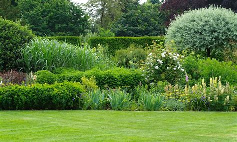 Diferentes Tipos De Plantas