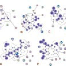 Binding Interactions Of Peptides With Active Residues Of Denv Ns B Ns