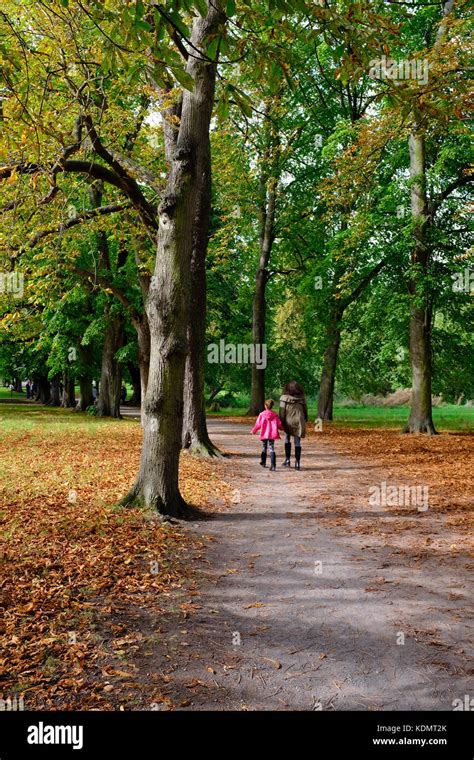 Morden Hall Park Autumn Stock Photo Alamy