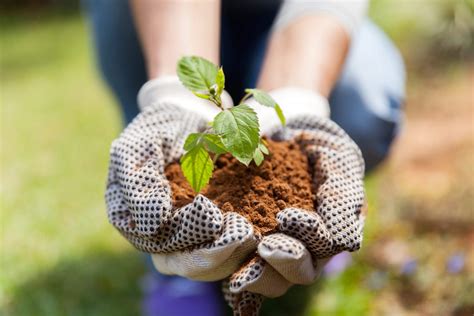 L Orto Sostenibile La Permacultura Donnaflora Garden Center