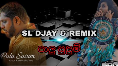 Dj Remix 68 Palu Susum පාලු සුසුම් Amila Karunarathna New Song