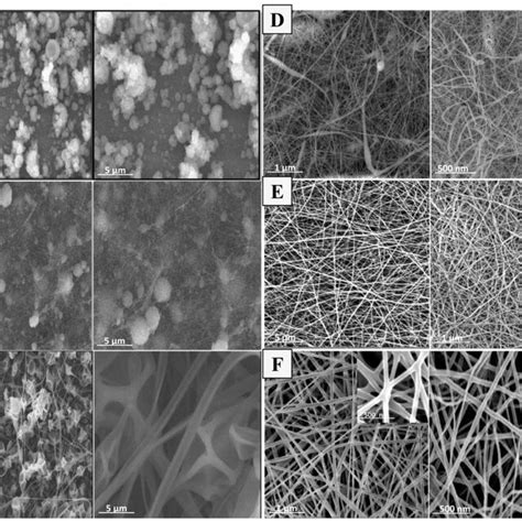 Sem Images Of A Fd Sf Magnification X X Scale Bar M