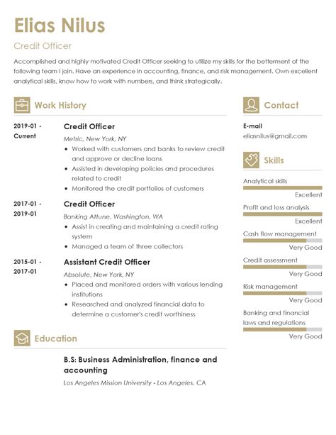 Credit Officer Resume Examples