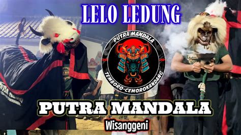 Putra Mandala Wisanggeni Dj Bantengan Lelo Ledung Live Pajaran