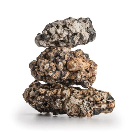 biOrb® Aquariums – biOrb-uk