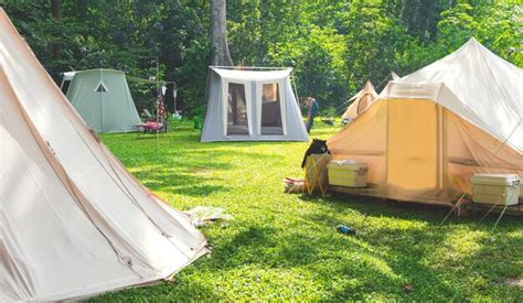 Grupo De Tiendas De Campa A En C Sped Verde En Zona De Camping En