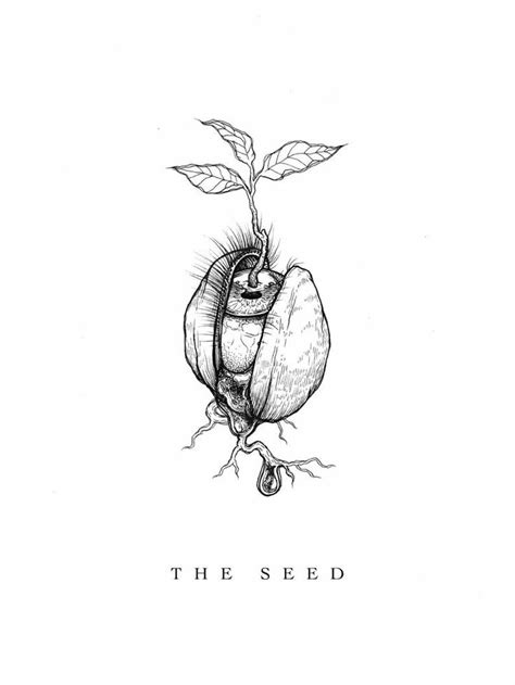 A Black And White Drawing Of A Seed Plant With The Words The Seed On It