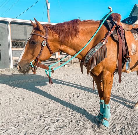 Best Ever Pads Custom Western Saddle Pad Barrel Racing Horses Rodeo