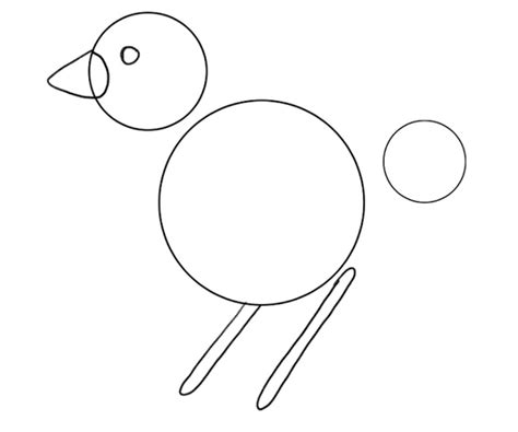 Bird Drawing Guide For Beginners [5 Steps, Video + Images]