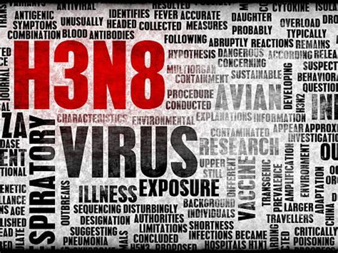 H3N8 virus: 56-year-old dies of Avian influenza…