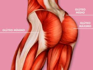 O Guia Completo Sobre A Gluteoplastia Dream Plastic