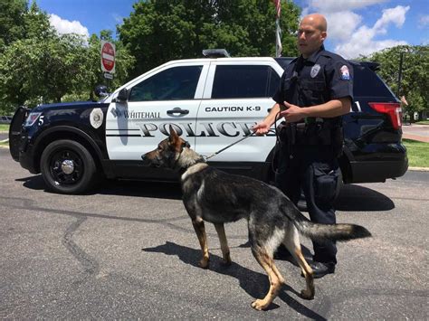 Whitehall Police Unveils Its First K 9 Wtte