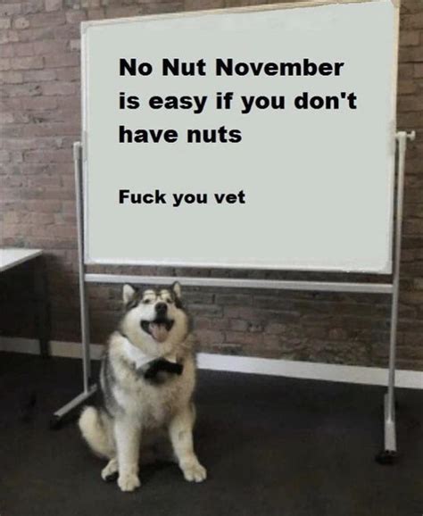 No Nut November Is Easy If You Dont Have Nuts Meme By Commanderjax