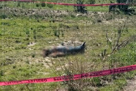 Decapitan a hombre y dejan su cadáver en Palmar de Bravo Municipios