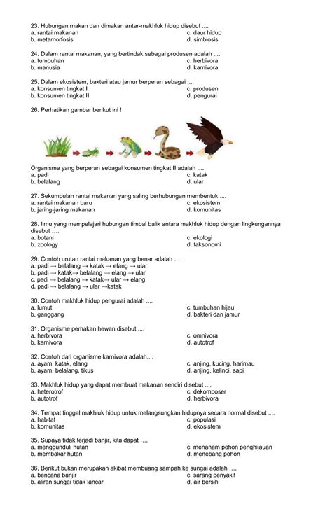 Soal Pts Sts Ipas Kelas 5 Semester 1 Kurikulum Merdeka Ta 2023 2024pdf Free Download