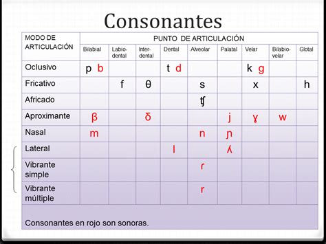 Fon Tica Ac Stica Diagrama Los Sonidos Del Espa Ol