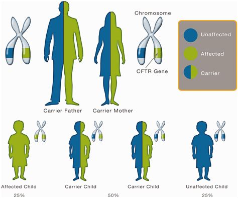 Cystic Fibrosis Jen Standen 2020