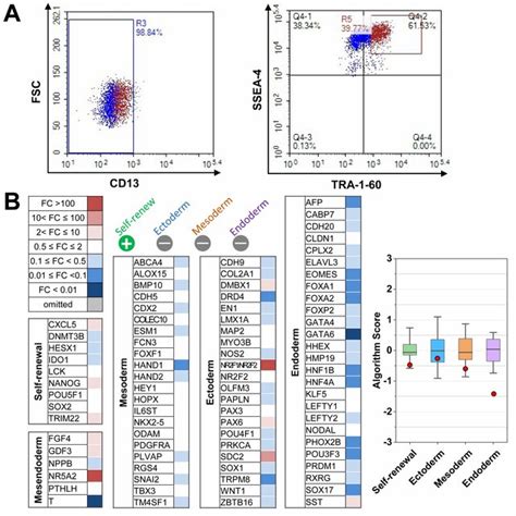 Quality Control Of Human Induced Pluripotent Stem Cells Hipscs