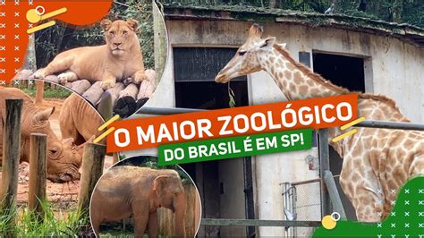 Zoológico De São Paulo O Maior Zoológico Do Brasil Youtube